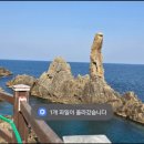 선행정사사무소 이미지