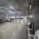 메디인병원 | 파주 금촌 메디인병원 주차 &amp; 수면 위내시경 복부초음파 진료비 병원비