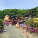 금강사랑