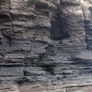 향동초등학교 이미지