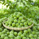 대전광역시립제1노인전문병원 이미지