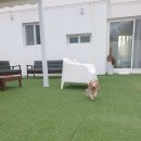 마운틴262 이미지