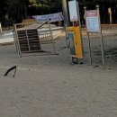 월평타운 이미지