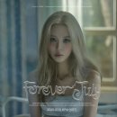 선미네 마이데일리