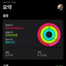용토끼 이미지