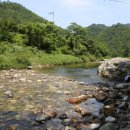 법수농원 이미지