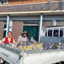 모서2리 이미지