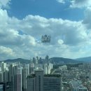 [서울호텔뷔페] 조선 팰리스 콘스탄스Constans 솔직후기