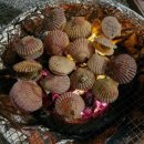 (주)하트무빙랩 서초지점 | 12월 두번째 일상: 크리스마스+1,000일+ 연말 가족 글램핑+ 필라테스+ 연말모임