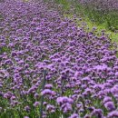 강변공원주차장 이미지