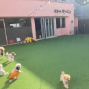 코모네펫하우스 이미지