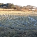 나래초교 | 경기 이천시 장호원읍 농지《2017타경 10140(1)》 답(논) 600평(계획관리지역) 서측3m도로 접함/농지...