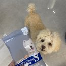 민경현동물병원 | 강아지눈물사료 | 닥터독 베츠초이스 피부모질+ 후기, 피부 건강까지 생각한 강아지 사료 🐶