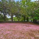 건지 경로당 이미지