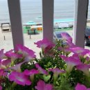 시밀레펜션 이미지