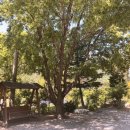 오대산내고향 이미지