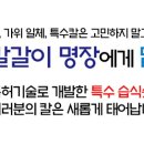 칼갈이명장 이미지