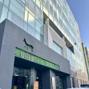 바닐라소프트(주) | 📍발산 카페 정원 같은 어나더사이드에서 힐링후기 내돈내산 ( feat. 오렌지아메리카노,버터떡)