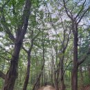 주식회사 신일유통