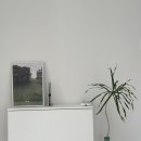 스테이 목월 이미지