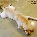 포포앤미루 강동점 이미지