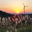 풍차와해넘이 이미지