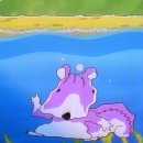 오르카수영 이미지