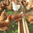 민서농장 이미지