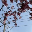이펜시아어린이공원 - 2497 | 이펜시아어린이공원