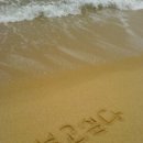 하늘 그리고 바다를 이미지