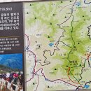 정선 민둥산의 가을억새 - 타임캡술공원 이미지