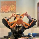 노량진 언니들 이미지