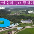 정옥공인중개사사무소 이미지