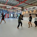 코리안탑팀 김포 이미지