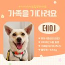 맘마데이 이미지