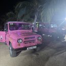 승민목장 | 베나자 판랑투어 : 나트랑 대표 투어 판랑사막 해돋이 투어 / 포롱자라이 사원 / 양떼 목장 내돈내산 후기