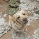 이끌림동물병원 이미지