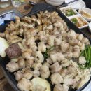 내돈내산 [충주] 김화자막창소곱창연수점 / 항상 만석인 막창 곱창집 솔직 후기