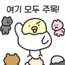 체리피피