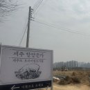 제주할망돈가 이미지
