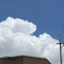 성민교회 앞(시흥동) | 금천구 맛집 | 내돈내산 또간집 시흥동 숨겨진 맛집, 틈 (feat. 바질누들, 가지덮밥 등 아시아 음식 전문)