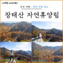 장태산휴양림 | 대전 가을 단풍 명소 장태산 자연휴양림 포토존 전망대 주차장 후기
