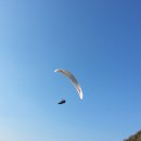 국당 이미지