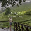 미력양탕 | 즉흥 여름휴가_보성,부산 당일치기 루트