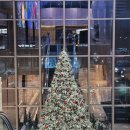 스테이 드래곤 | 신라스테이 역삼 카페 주말 디너 (홍게 맥주 뷔페 무한리필)