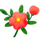 굿충주한우 이미지