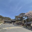 석불 | 강화 보문사 가볼만한 곳｜기도 명소 마애석불좌상 직접 다녀온 후기