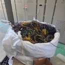 KJ물류