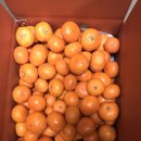 효우농장 이미지