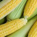 침사랑안마지압원 이미지